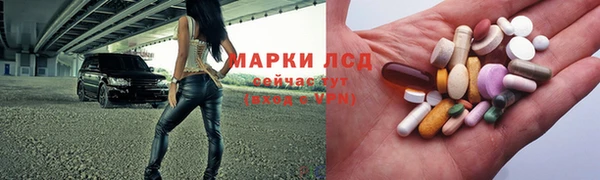 бошки Пересвет