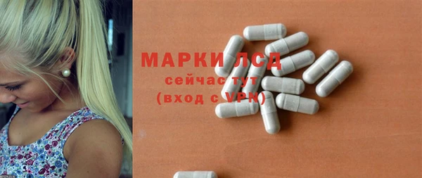 бошки Пересвет