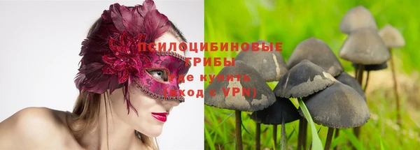 меф Переславль-Залесский