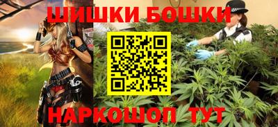 стаф Гатчина
