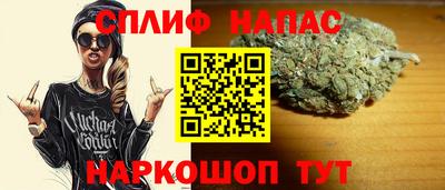 стаф Гатчина