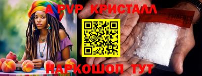 стаф Гатчина