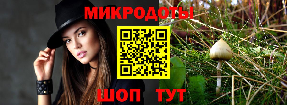 Татарск  Псилоцибиновые грибы мицелий  Вход с VPN 